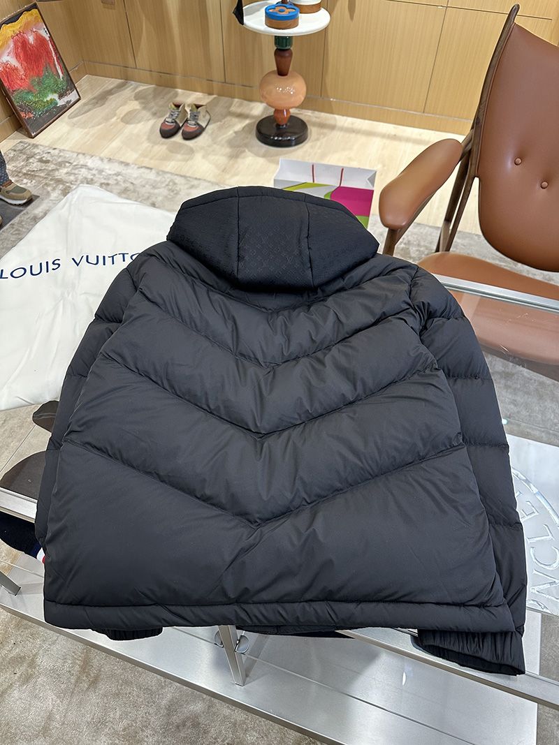 LV Down jacket 101