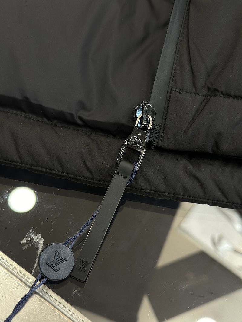 LV Down jacket 101