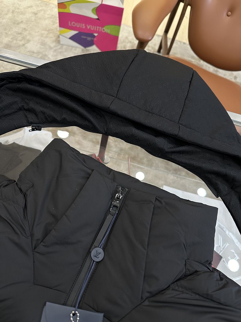 LV Down jacket 101