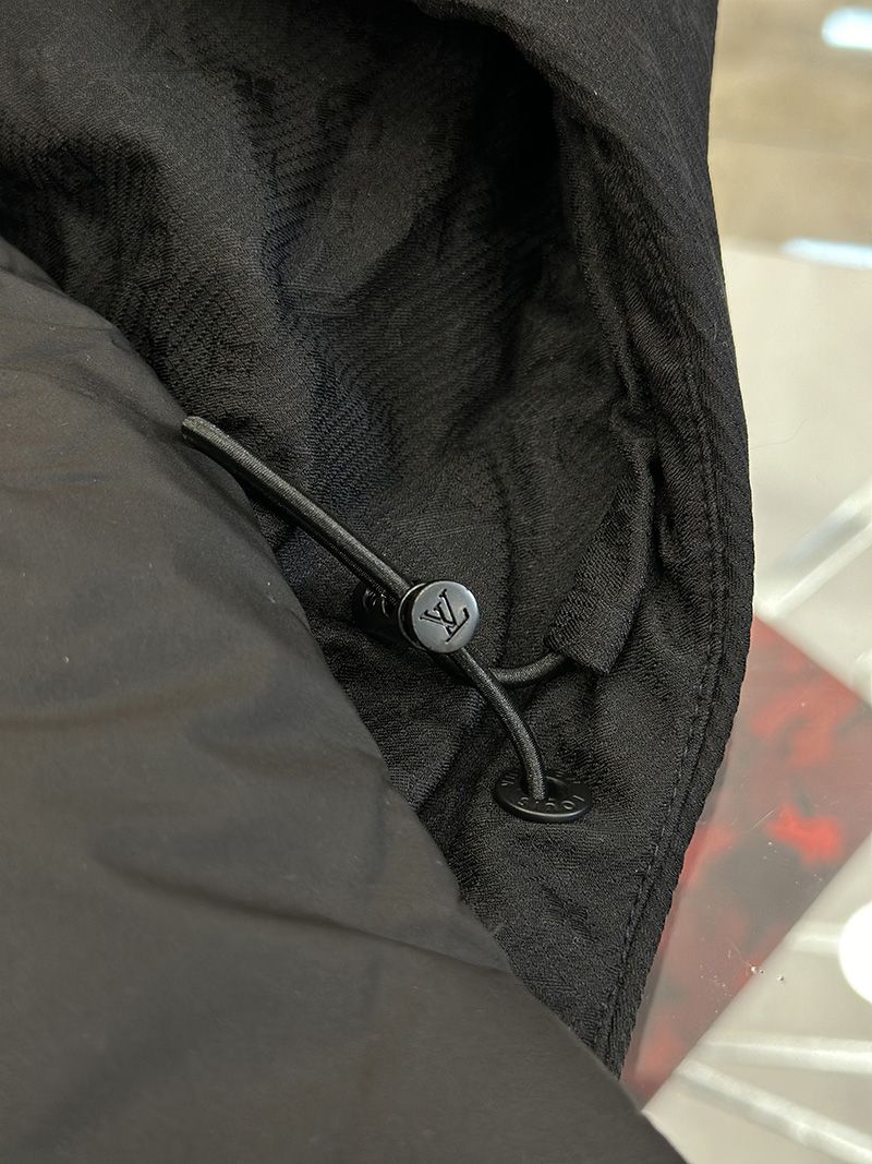 LV Down jacket 101