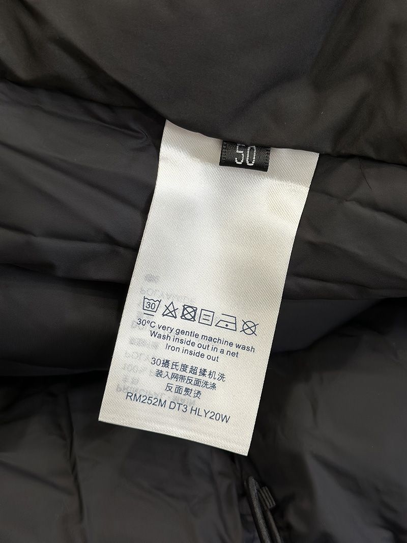 LV Down jacket 101