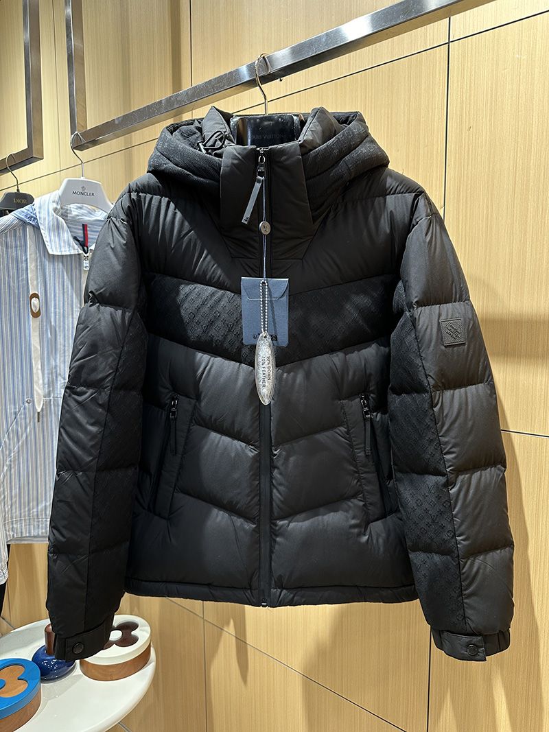 LV Down jacket 101