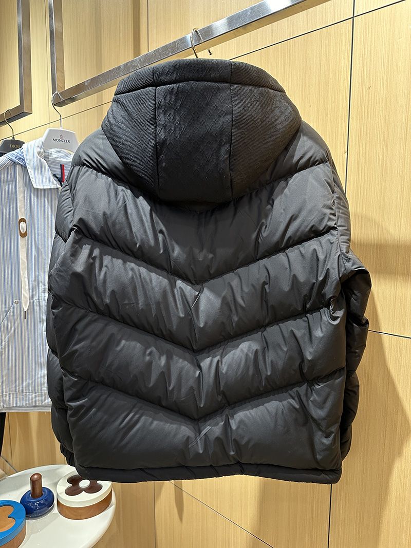 LV Down jacket 101