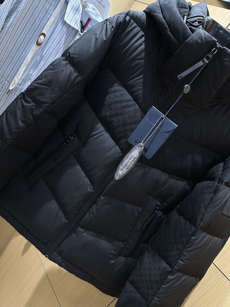 LV Down jacket 101