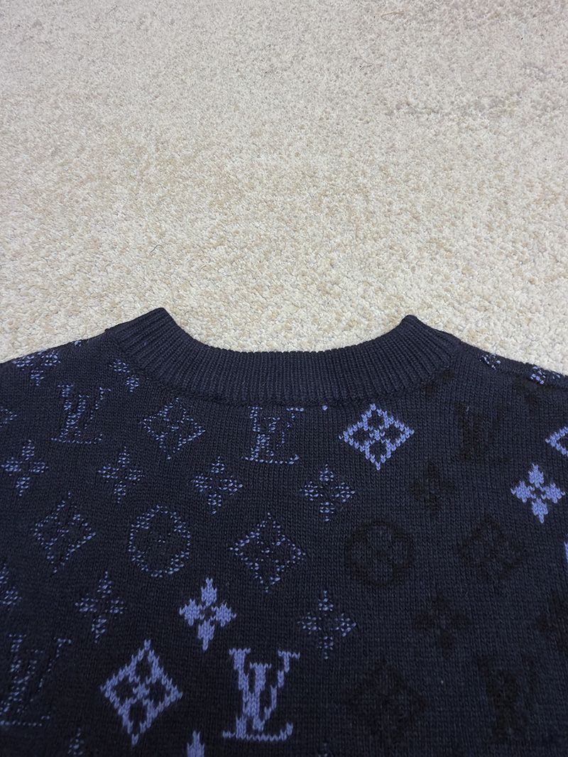 LV Sweater 103
