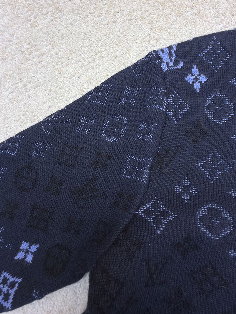 LV Sweater 103