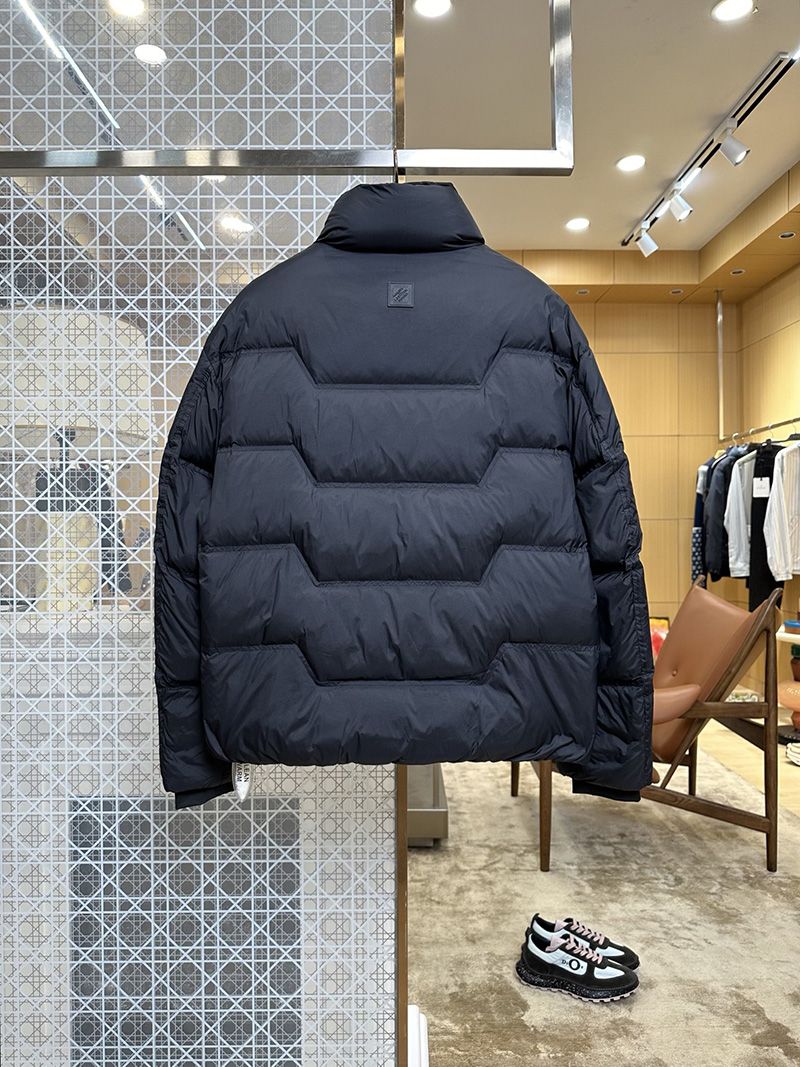LV Down jacket 105