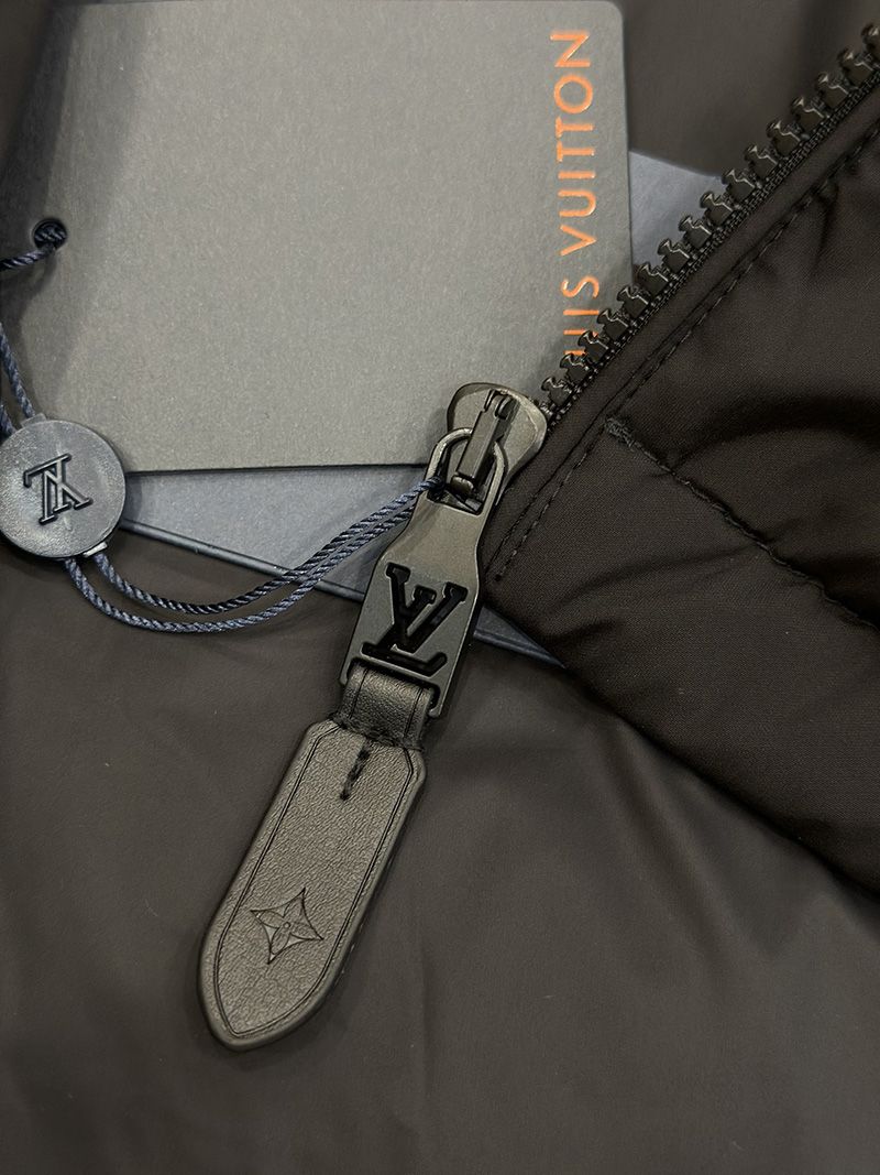 LV Down jacket 108