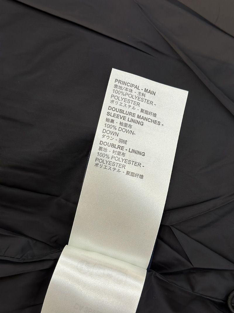 LV Down jacket 108
