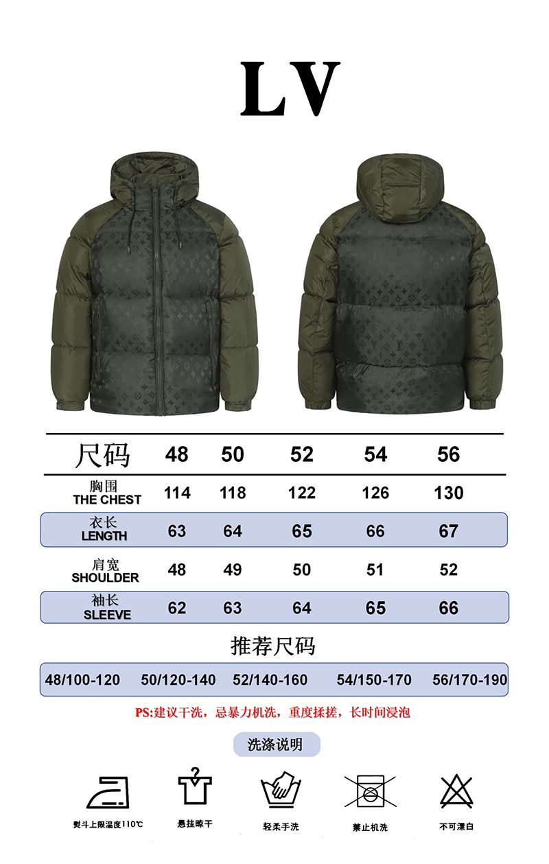 LV Down jacket 110