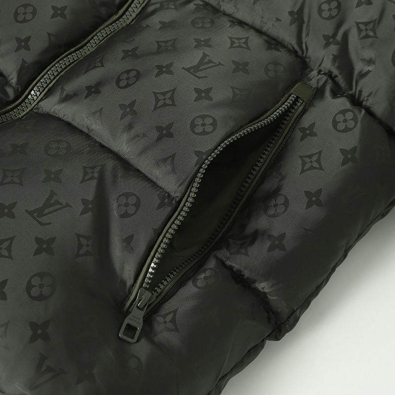 LV Down jacket 110