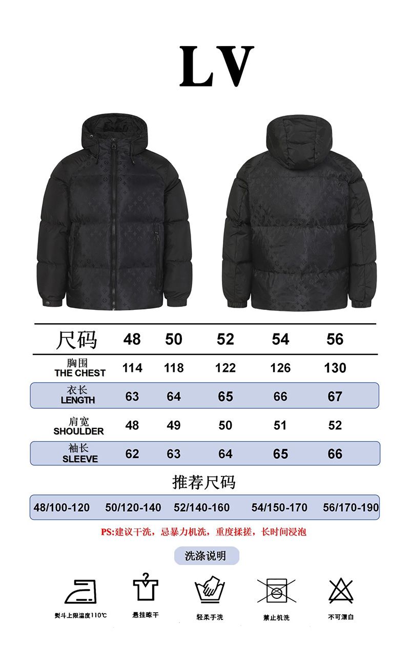 LV Down jacket 109