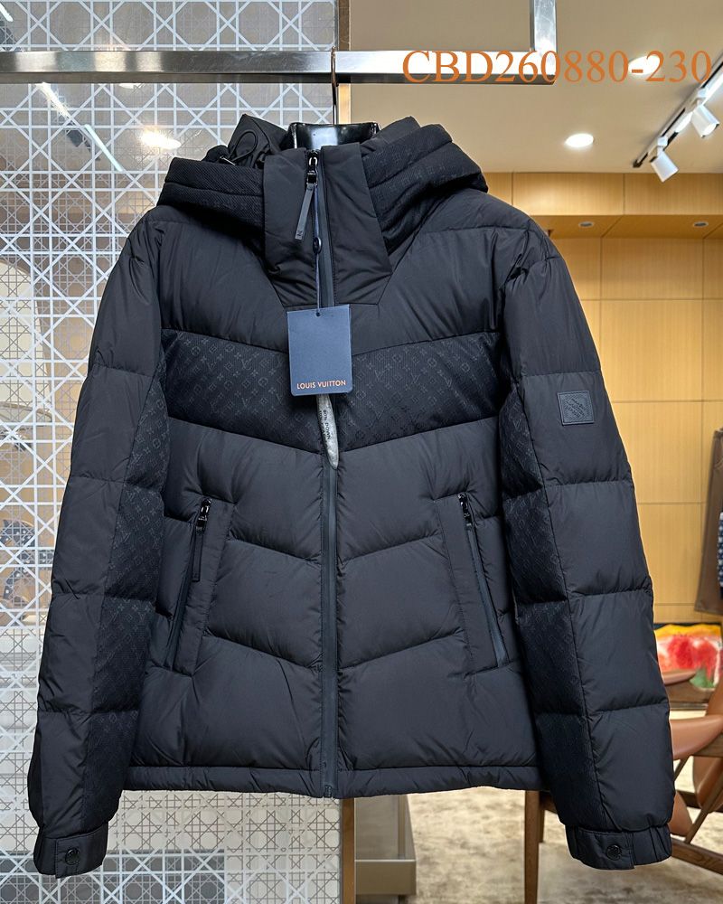 LV Down jacket 101